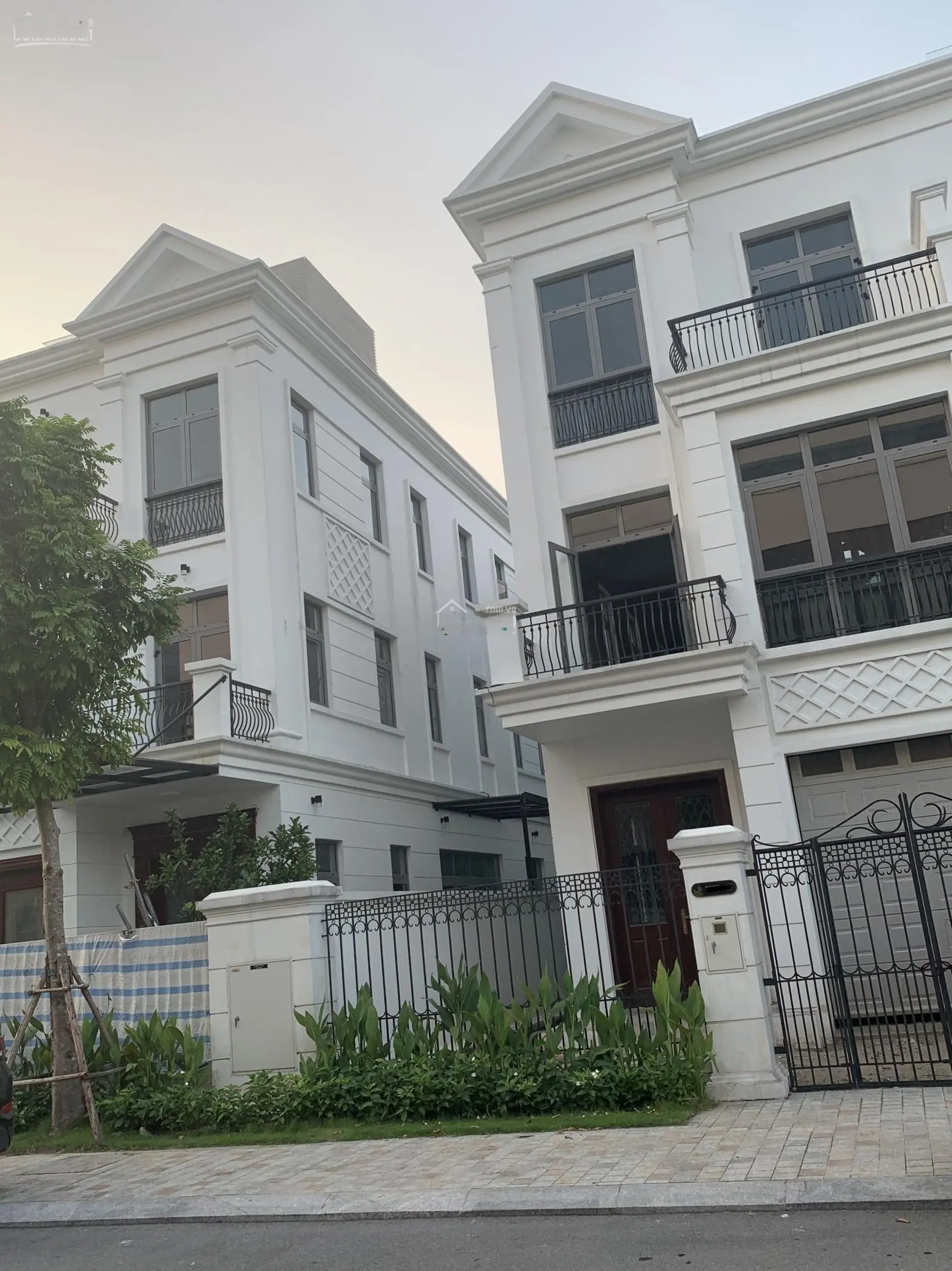 Tổng hợp quỹ chuyển nhượng song lập Nguyệt Quế, Tulip tại Vinhomes The Harmony, LH: 0936 298 ***