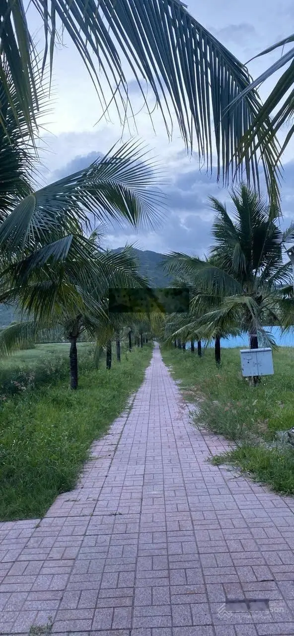 Cần bán lô đất liền kề & biệt thự view Sông Tắc - Tp. Nha Trang - Biệt thự trực diện view sông