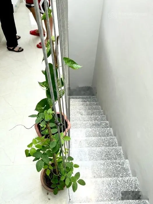 Đặng Văn Ngữ, gần Hồ Đắc Di, tòa CCMN, 8 tầng thang máy, 12 phòng khép kín 59,4m2, MT 4,2m, 10,8 tỷ