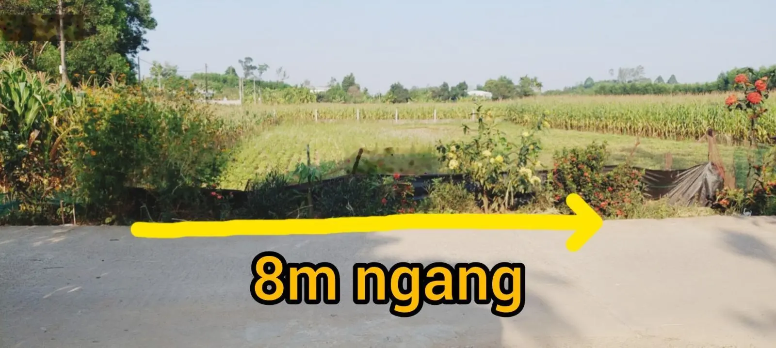 368m2 đất trồng cây hằng năm gần những nhà vườn biệt thự đẹp