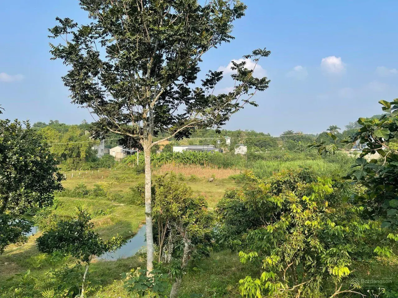 Gia đình cần bán 7310m2 tại Đông Xuân Quốc Oai Hà Nội