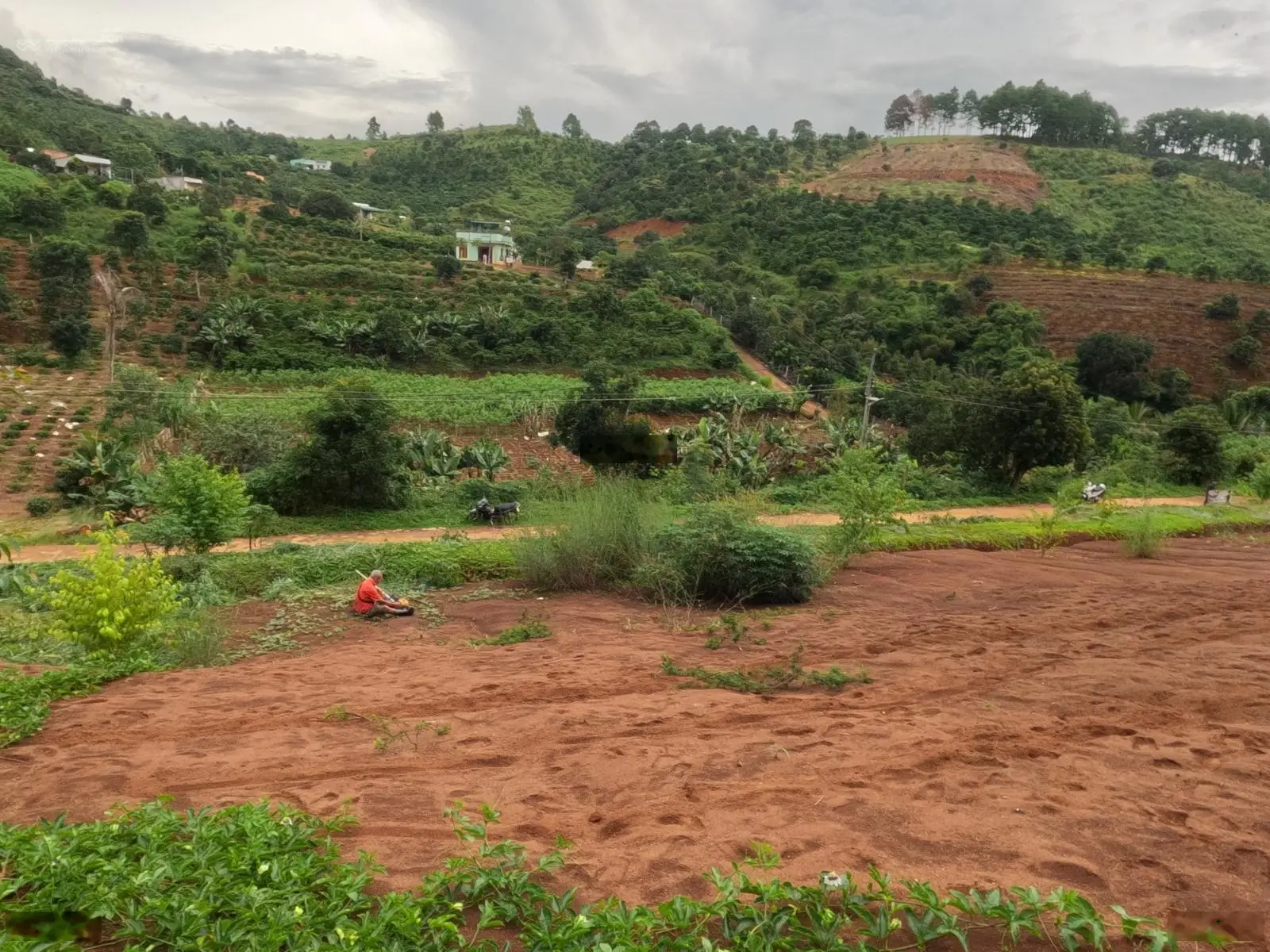 Bán đất Lâm Hà, Lâm Đồng giá rẻ, 999 TR cho 448m2 gần khu du lịch Thác Voi và chùa Linh Ẩn