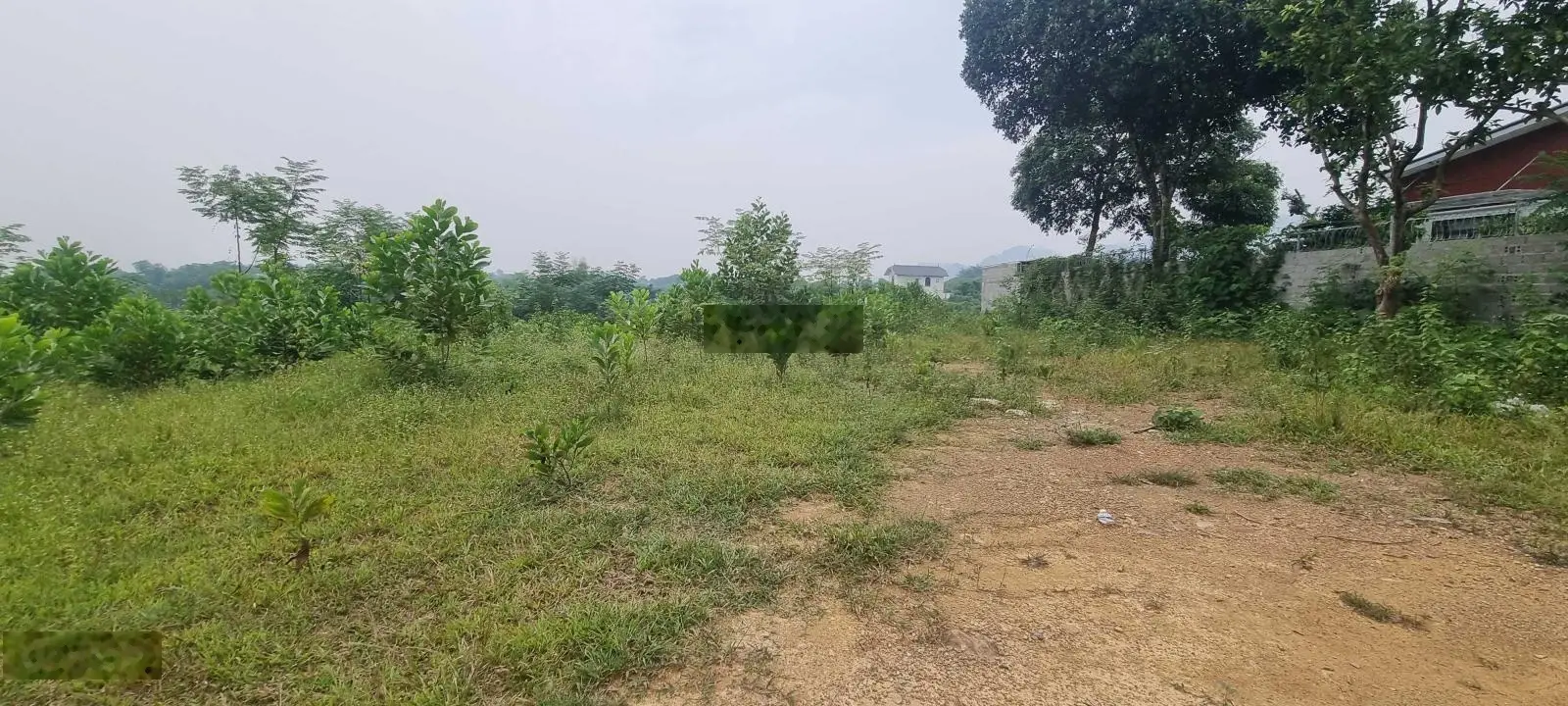 Bán 3269m2 đất tại Cư Yên, Lương Sơn, Hòa Bình giá đầu tư
