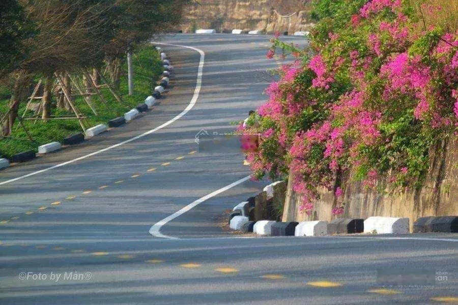 Ngôi nhà nổi tiếng: có suối chảy cạnh nhà, gần biển, dưới chân báo đảo Sơn Trà nhưngchỉ nửa triệu $
