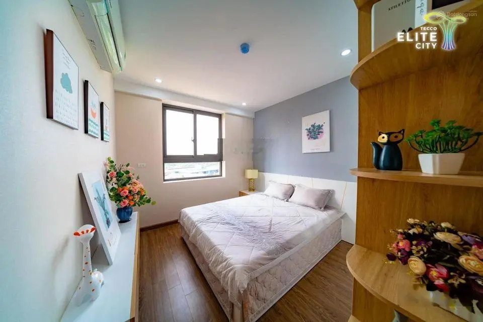 Đầu tư chỉ 700 triệu bằng 1 phần 3 so với mua nhà tại Hà Nội nhưng cho thuê lại ngang tiền.