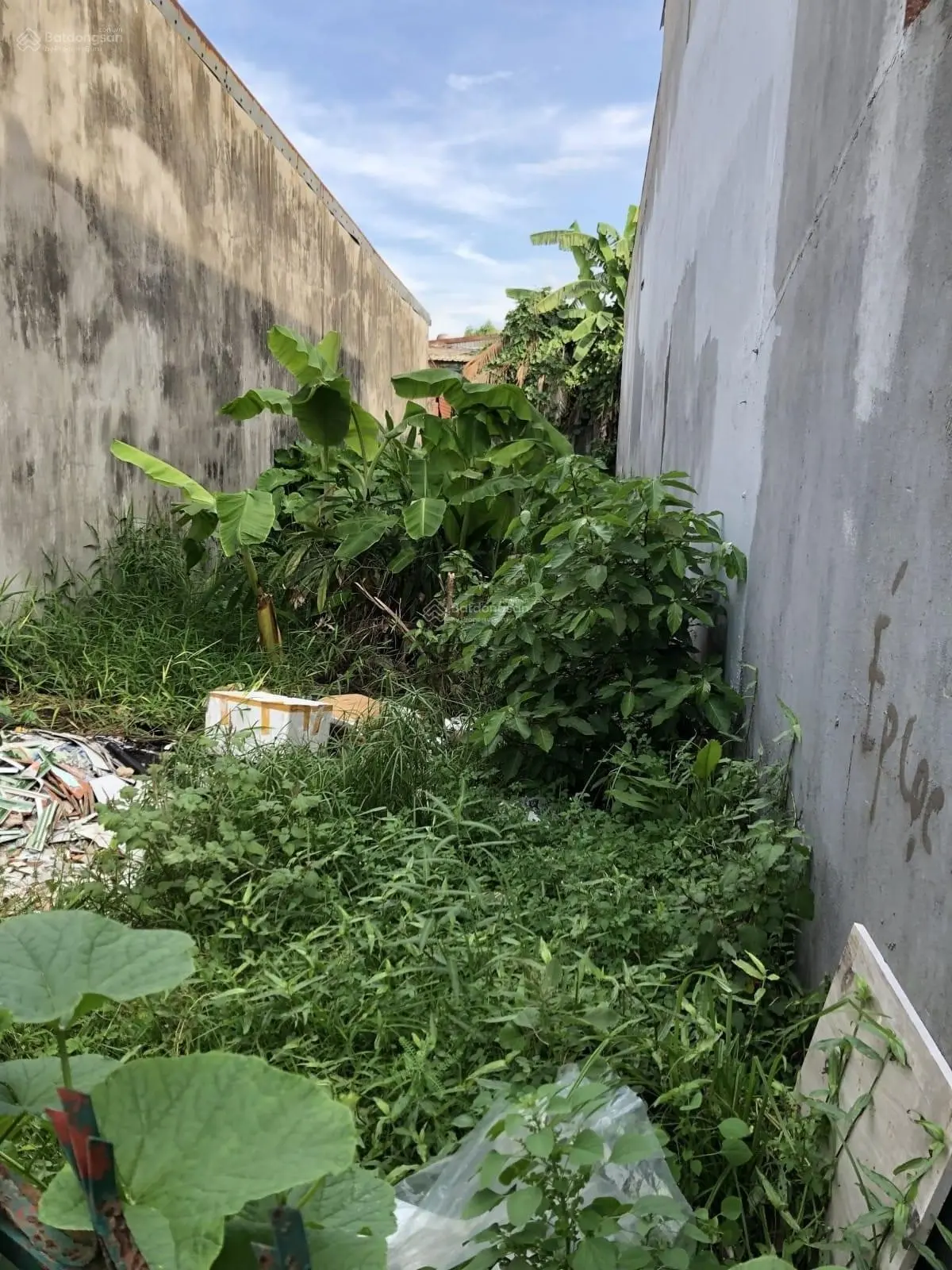 Bán lỗ lô đất 100m2 , Sổ hồng riêng , full thổ cư