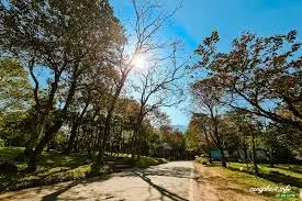 Vị trí đắc địa thôn Đông Hạ xã Hùng Cường, TP Hưng Yên, Hưng Yên