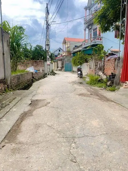 Chính chủ gửi bán 76m2 đất bìa làng thôn Đồng, Nguyên Khê, Đông Anh, Hà Nội