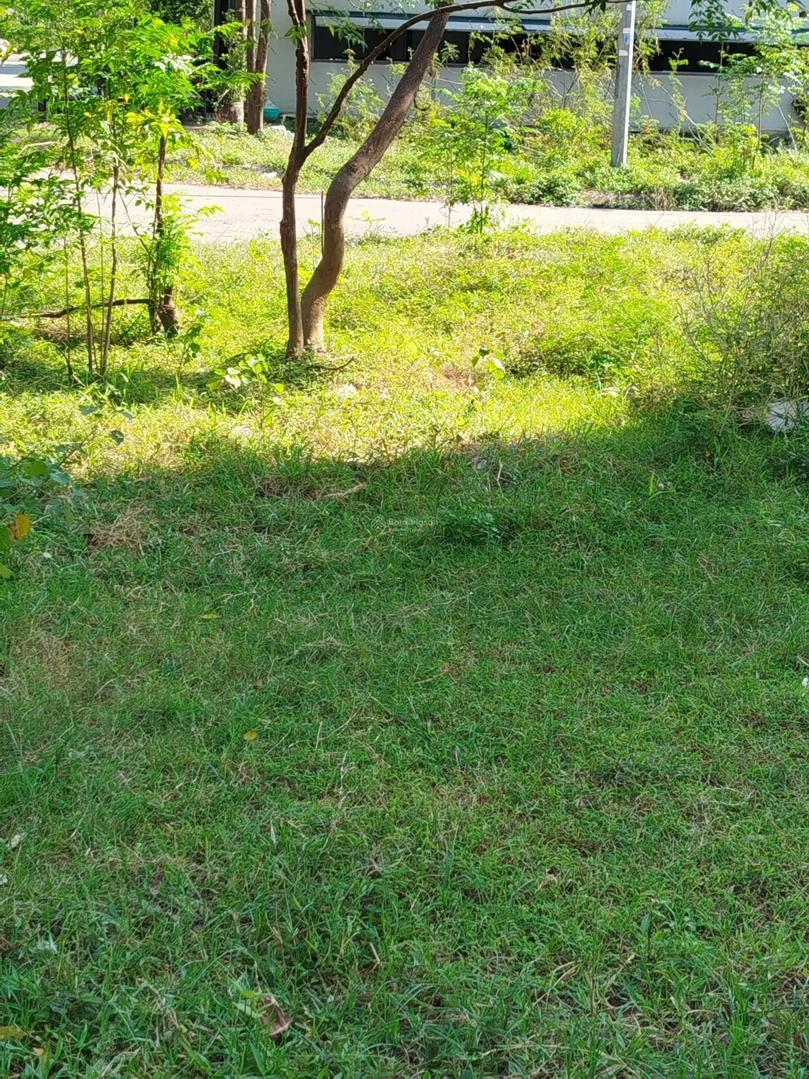 50m2 DV Đồng Mai - chỉ 4.xx tỷ 100%