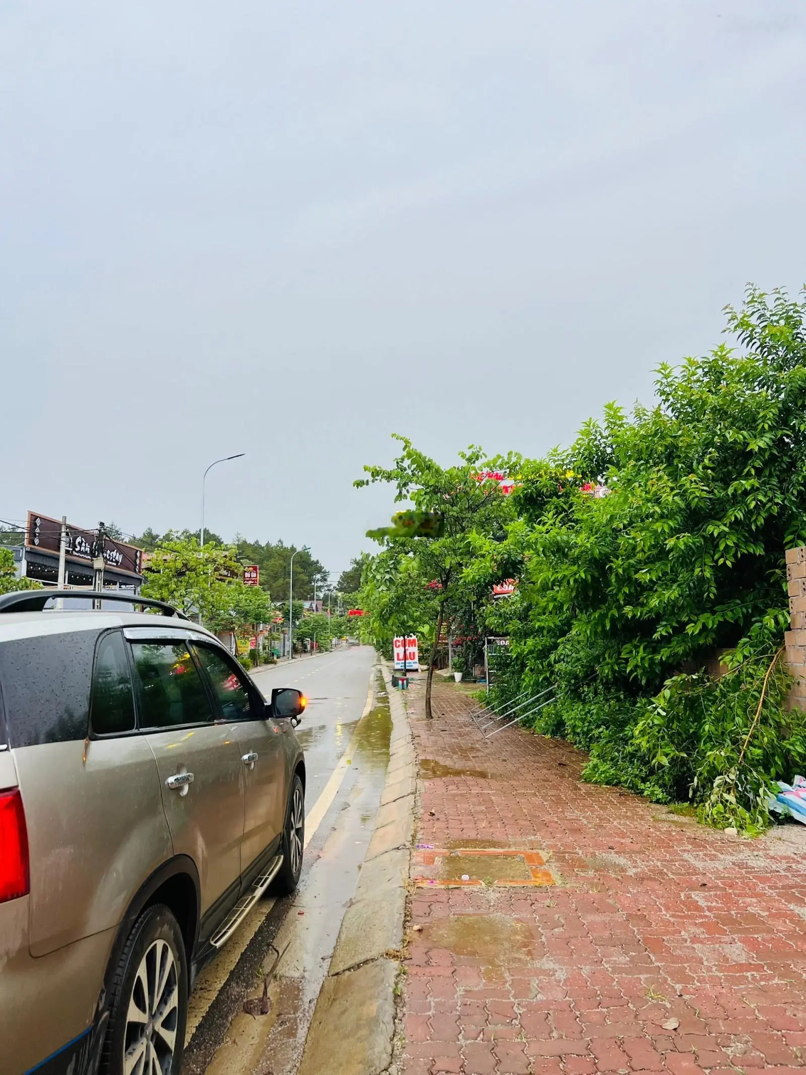 CC bán đất rừng thông Bản Áng, Mộc Châu, Sơn La, 2.100m2. MT 35m, full thổ cư, đường to KD sầm uất