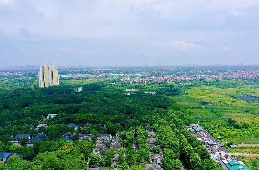 Siêu hot! Hàng hiếm giá thơm nhất phân khúc cc cao cấp, tiền nhỏ nhưng hưởng ngàn xanh sinh thái