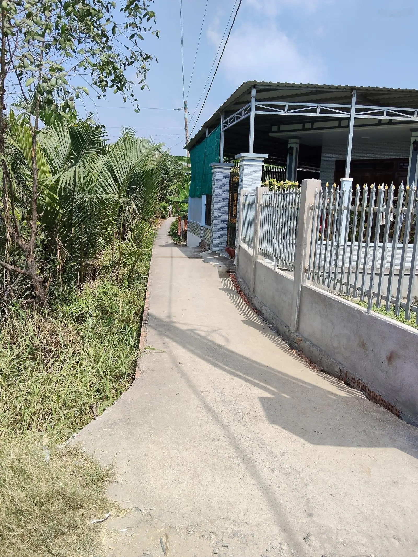Bán gấp NR 2PN, 1WC, 238m2 tại Trần Hưng Đạo, Cần Đước, Long An, giá 1,2 tỷ