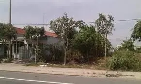Đất đẹp nằm MT đường Tạo Lực 1, TP. Thủ Dầu Một, giá ngợp cho khách đầu tư, tiện kinh doanh