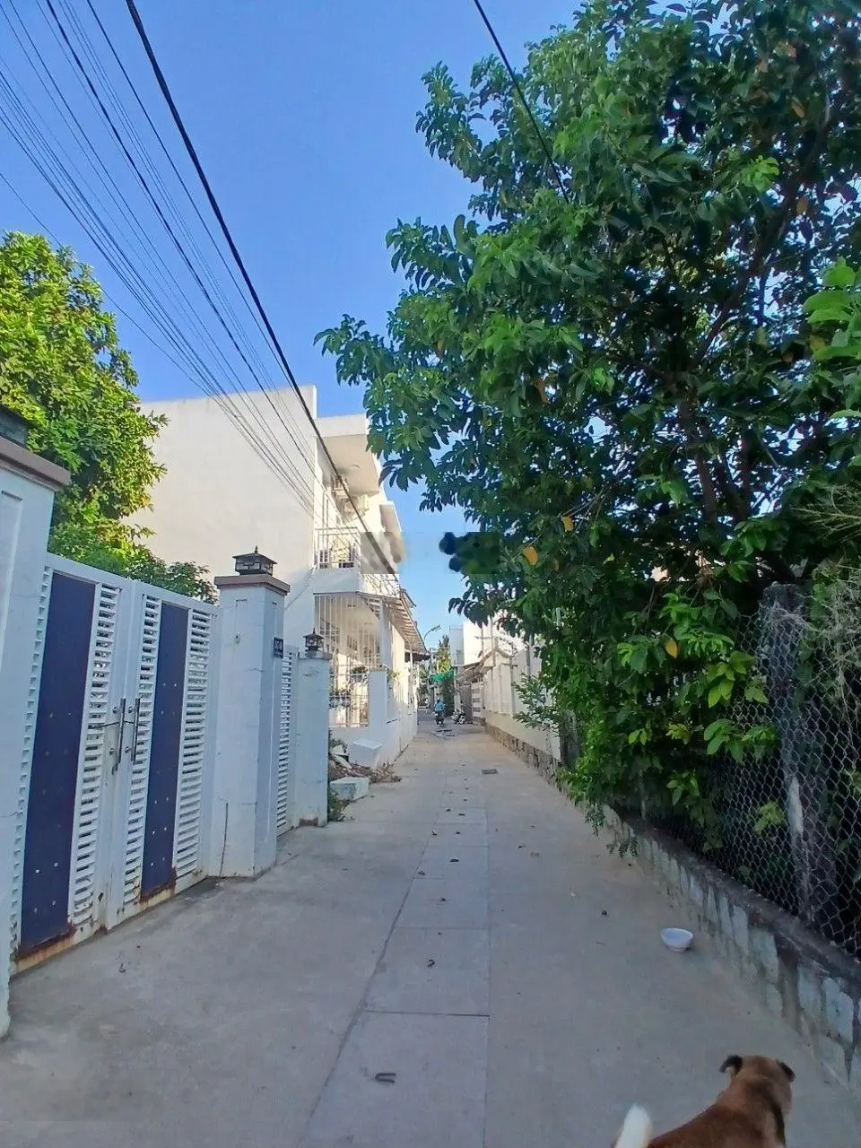 Bán lô đất hẻm 247 Cầu Dứa Phú Nông, Vĩnh Ngọc, Nha Trang, Khánh Hòa.
