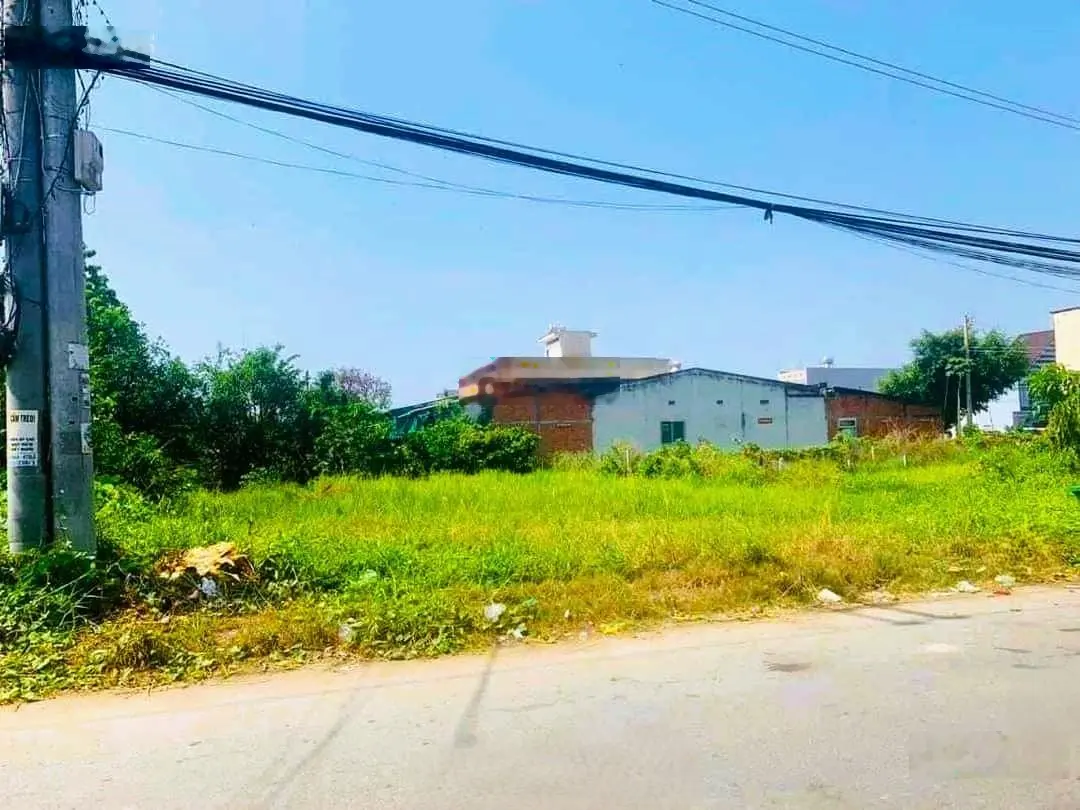 Bán đất gấp, cơ hội hiếm! Ngay MTĐ Lê Văn Tám gần chợ phường 8, TP. Cà Mau. DT: 100m2 / SHR
