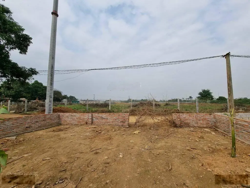354,3m2/200m2 thổ cư vị trí cực kỳ đắc địa giá tốt. Vị trí thôn Miễu Tiến Xuân. Liền kề đại học QG