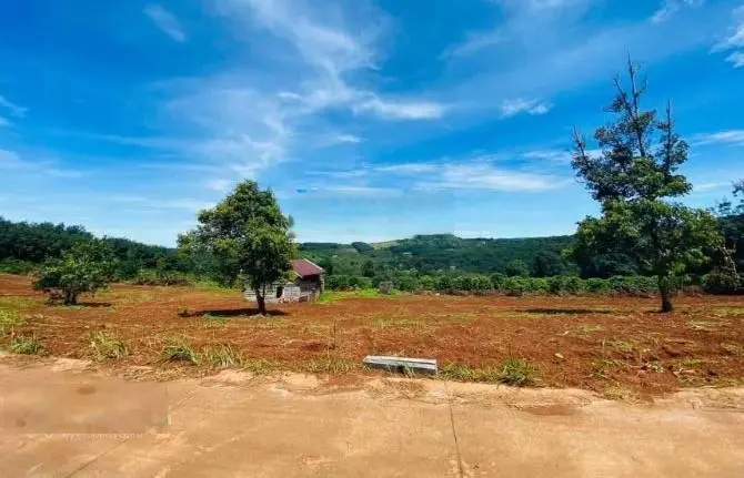 Bán 300m2 đất vườn có 100m2 thổ cư Đồng Phú, Bình Phước