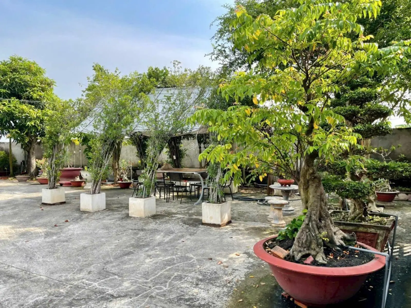 NHÀ VƯỜN MẶT SÔNG NGAY TT CẦN GIUỘC, GIÁ CỰC RẺ, 25P VỀ Q8, Q7