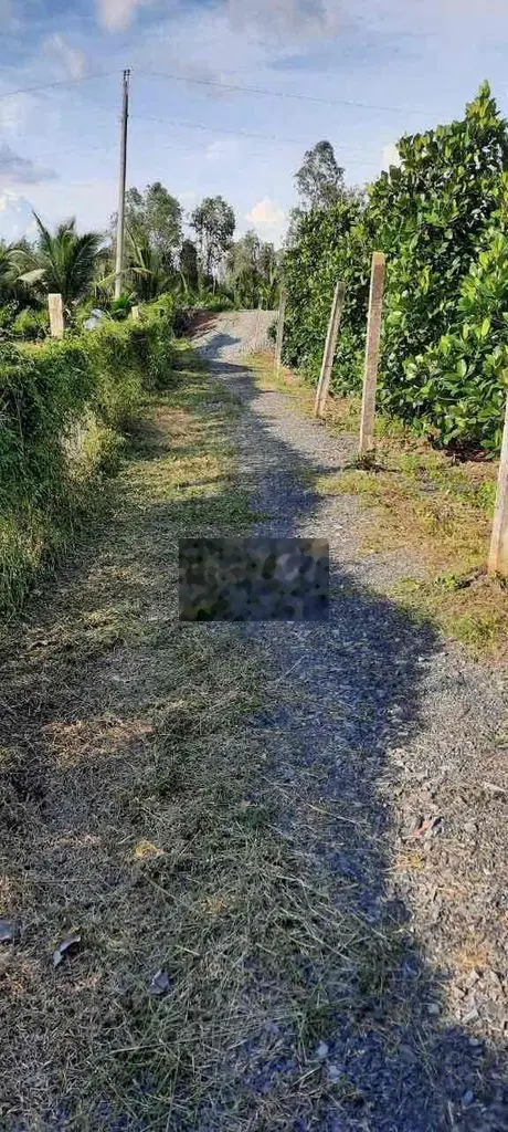 1000m2 đg ô tô cách nhựa 816 tầm 250m TT Thạnh Hoà điện nc ngay đất