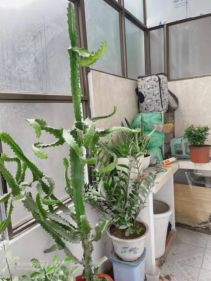 Bán nhà riêng tại Văn Miếu, Đống Đa, Hà Nội, 4,47 tỷ, 25m2, 4 tầng, 3PN, 4WC