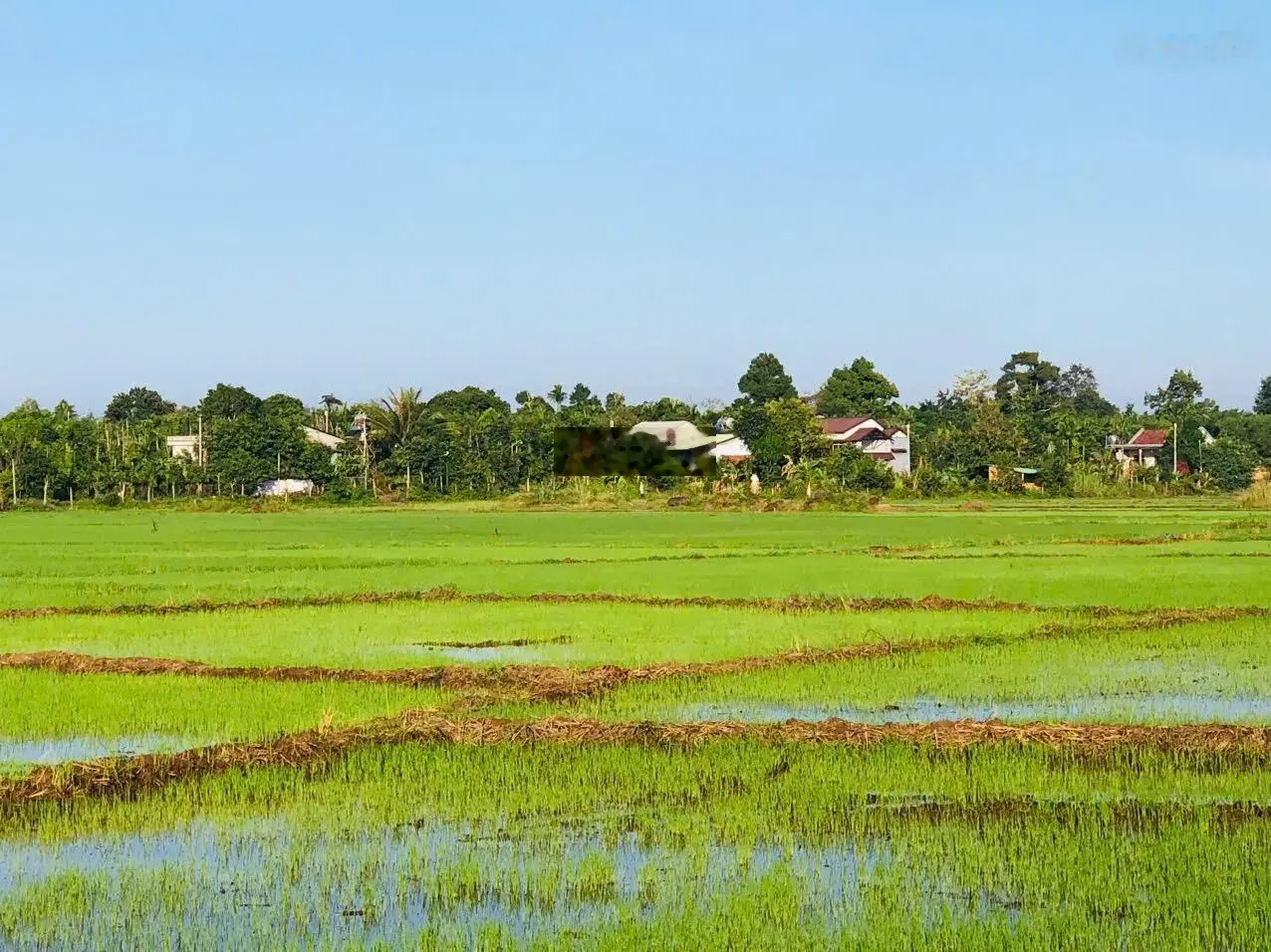 Mảnh vườn đẹp tâm huyết tại CuKuin Daklak. DT: 3 sào, thực tế 4 sào đường bê tông lớn thổ cư 400m2