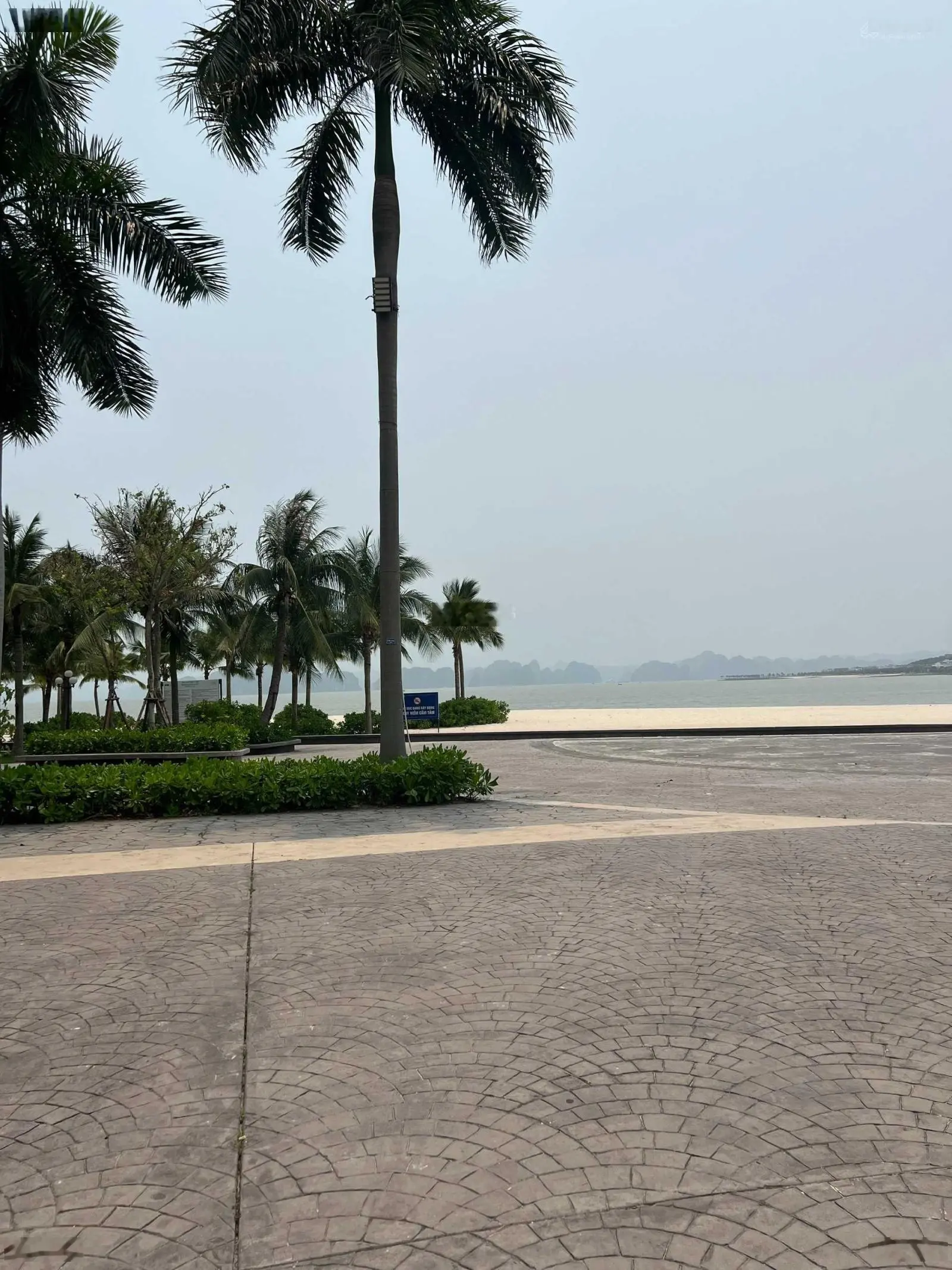 Chính chủ cắt lỗ liền kề 6 tầng giá 6,5 tỷ diện tích 91m2 giá rẻ nhất Bãi Cháy, Hạ Long, Quảng Ninh