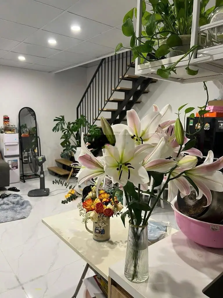 Hàng hiếm phố cổ Hà Đông 50m ra mặt phố 100m ra chợ hà đông tặng nhà 2T đẹp như khách sạn ở ngay