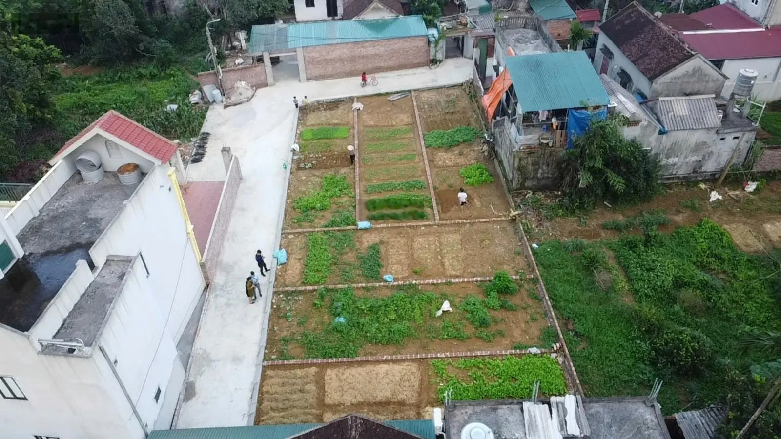 Mua đất nền Hòa Lạc chỉ từ hơn tỷ sở hữu ngay 2 sổ đỏ diện tích gần 200m2, sang tên ngay