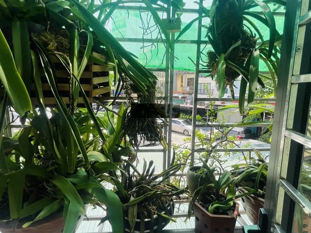 Bán nhà riêng diện tích 42m2 tại đường Lương Khánh Thiện, Hà Nội