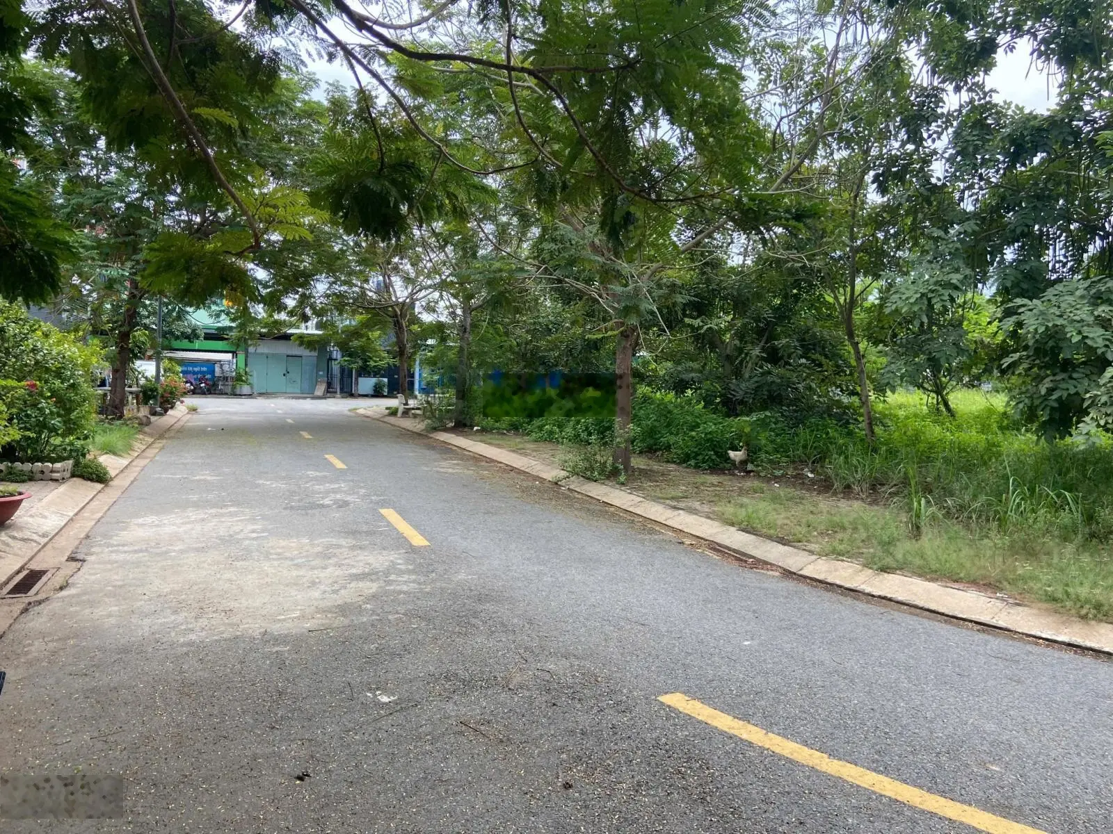 KDC NSG Long Hậu, nền tái định cư, được xây dựng tự do, view công viên, sổ hồng riêng, giá chỉ 2tỉ1