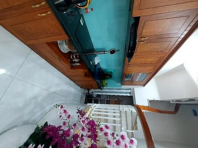 SIêu phẩm nhà phố 5 tầng đẹp lung linh nội thất gỗ quý, Phú Mỹ, quận 7