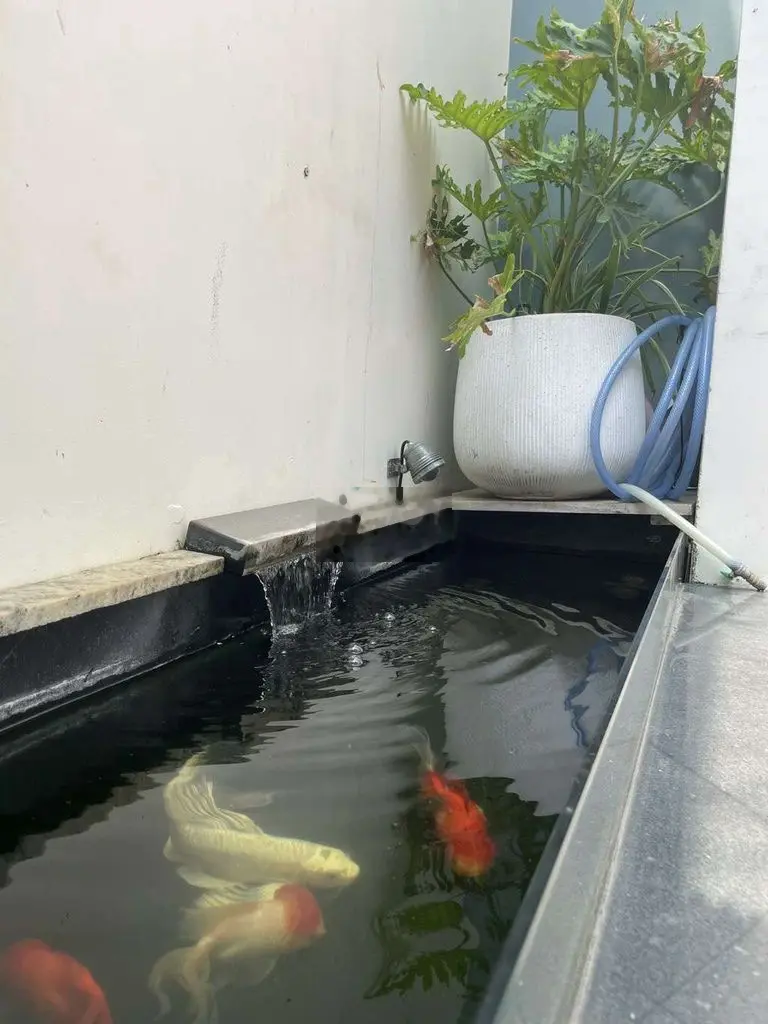 nhỉnh 2 tỷ có nhà đẹp trung tâm đường 2 tháng 9 .