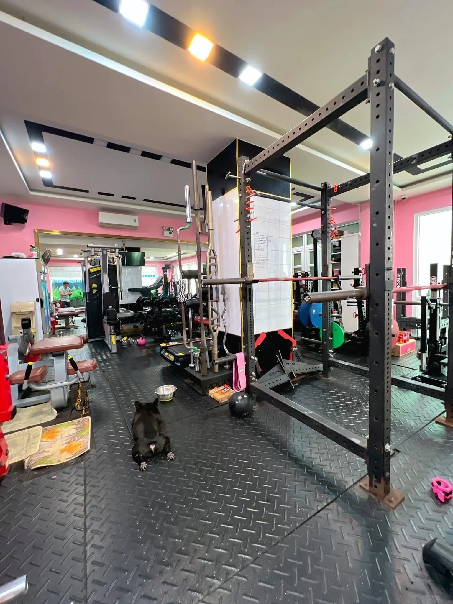 Bán nhà 2 mặt tiền đường số căn góc đang kinh doanh ngang 9m dài 10m, giá giảm sập chỉ 17 tỷ 780