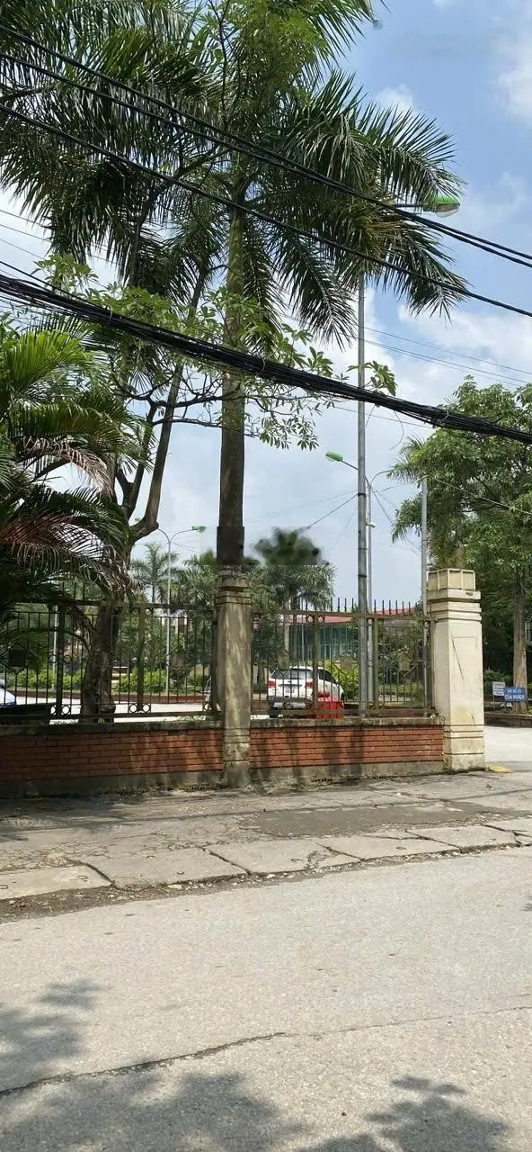 Bán nhà số 19 Trần Quang Diệu, phường Ngọc Trạo, TP thanh Hóa, Tỉnh Thanh Hóa,