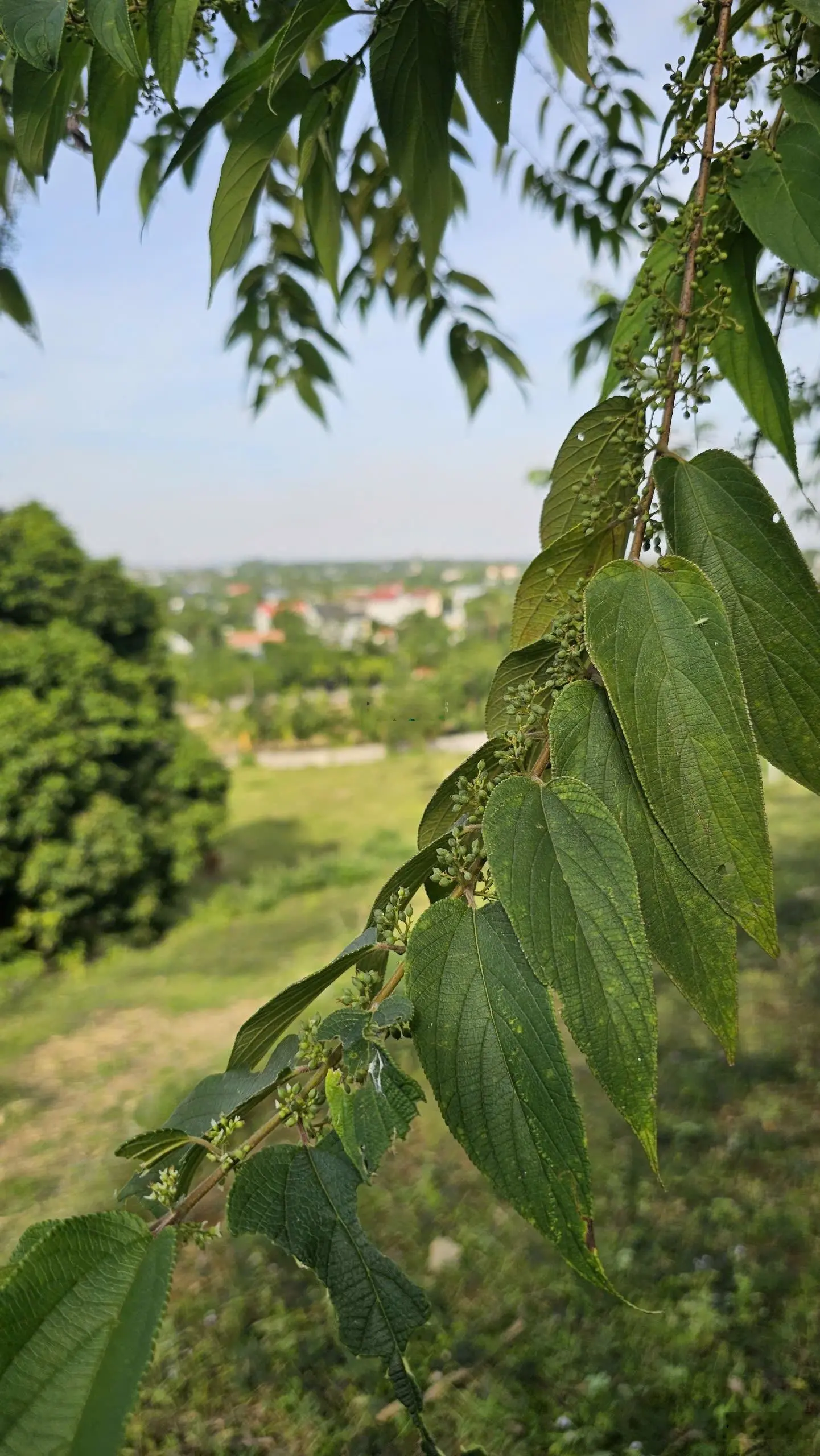 Chính chủ gửi em bán lô đất view cực đẹp, phù hợp làm homestay, ngay đường lên đồi bù núi bé