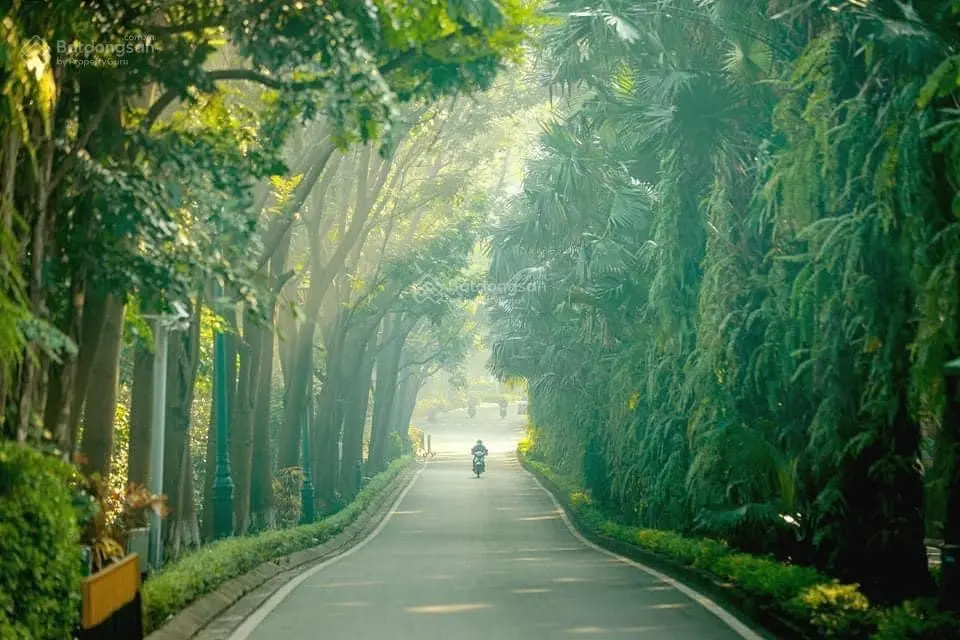 Tổng hợp quỹ căn chuyển nhượng GIÁ TỐT tháng 10 tại Ecopark: