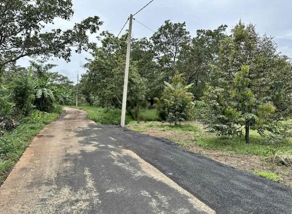 CHÍNH CHỦ BÁN VƯỜN 1588M2 GIÁ 690TR BAO SANG TÊN