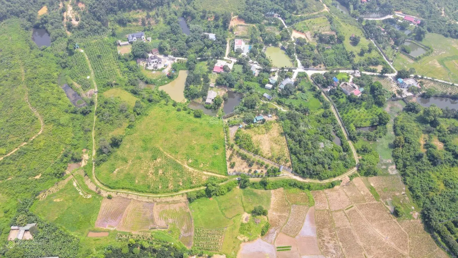 Bán 1.1ha trong đó có 400m2 đất thổ cư còn lại là đất trồng cây, vị trí cao thoáng tại Cư Yên