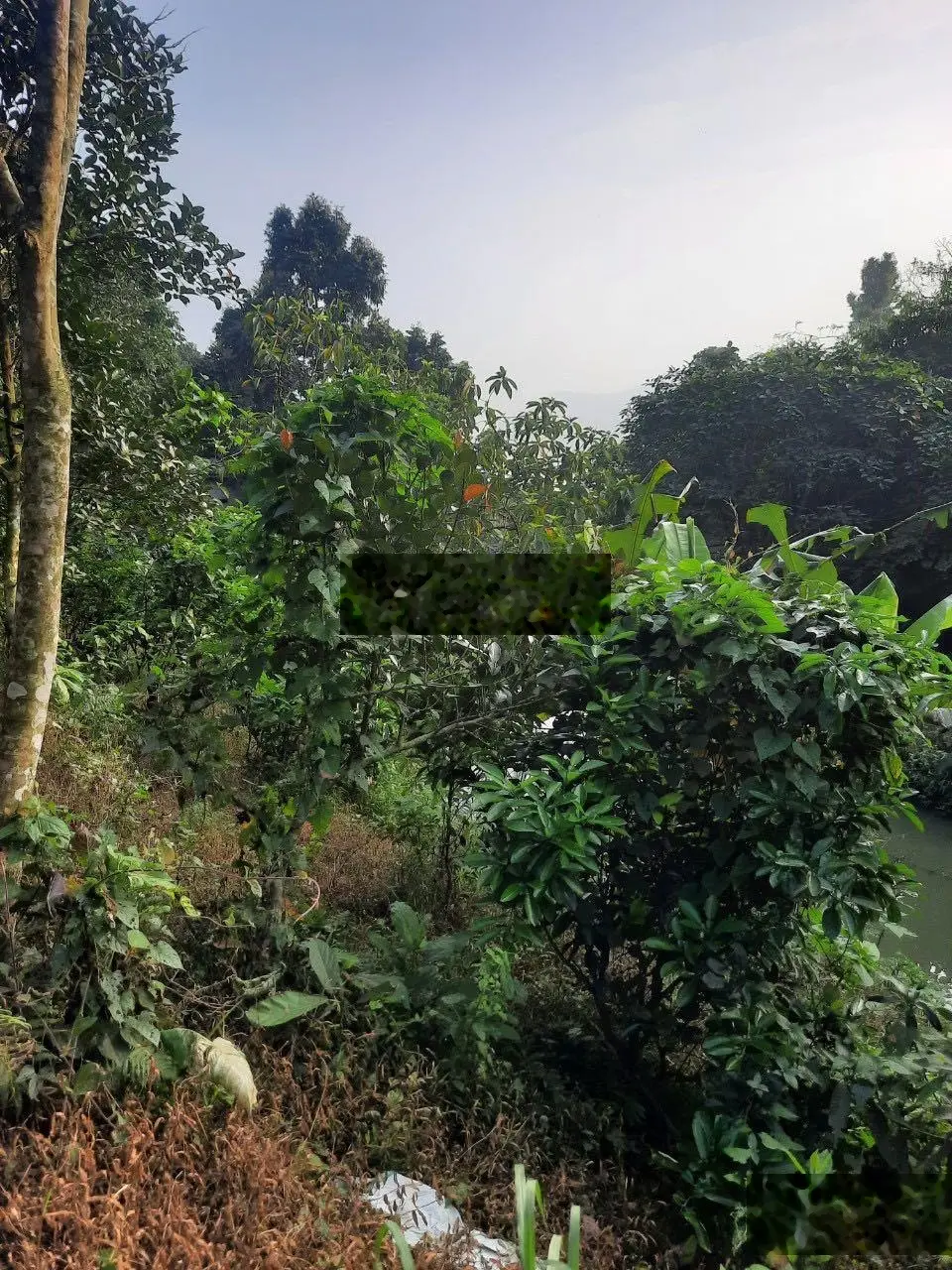 Chuyển nhượng lô đất 22000m tại Lương Sơn, Hoà Bình, LH: 0989 342 ***