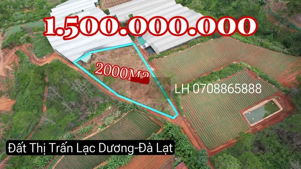 2000m2 Lạc Dương 1ty5