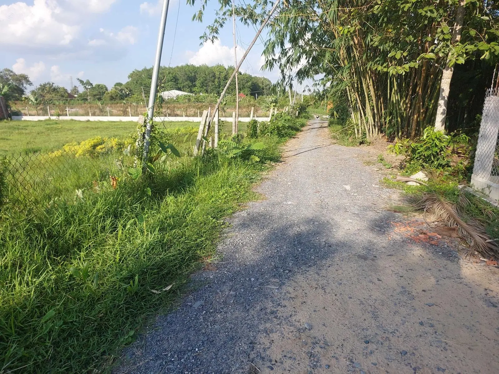 ĐẤT TẠI TRẢNG BÀNG 10X28M FULL THỔ CƯ, LIÊN HỆ XEM ĐẤT: 0763 914 ***