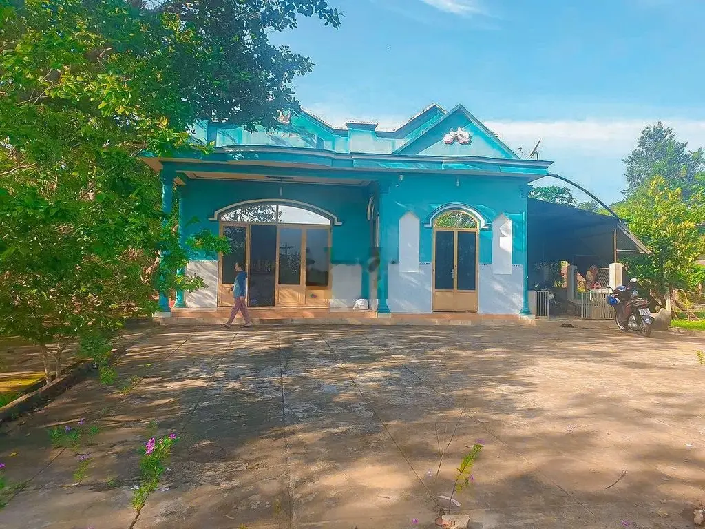 Ngộp, kẹt tiền cần bán 5.969m2 thổ cư tặng nhà cấp 4 và vườn cây