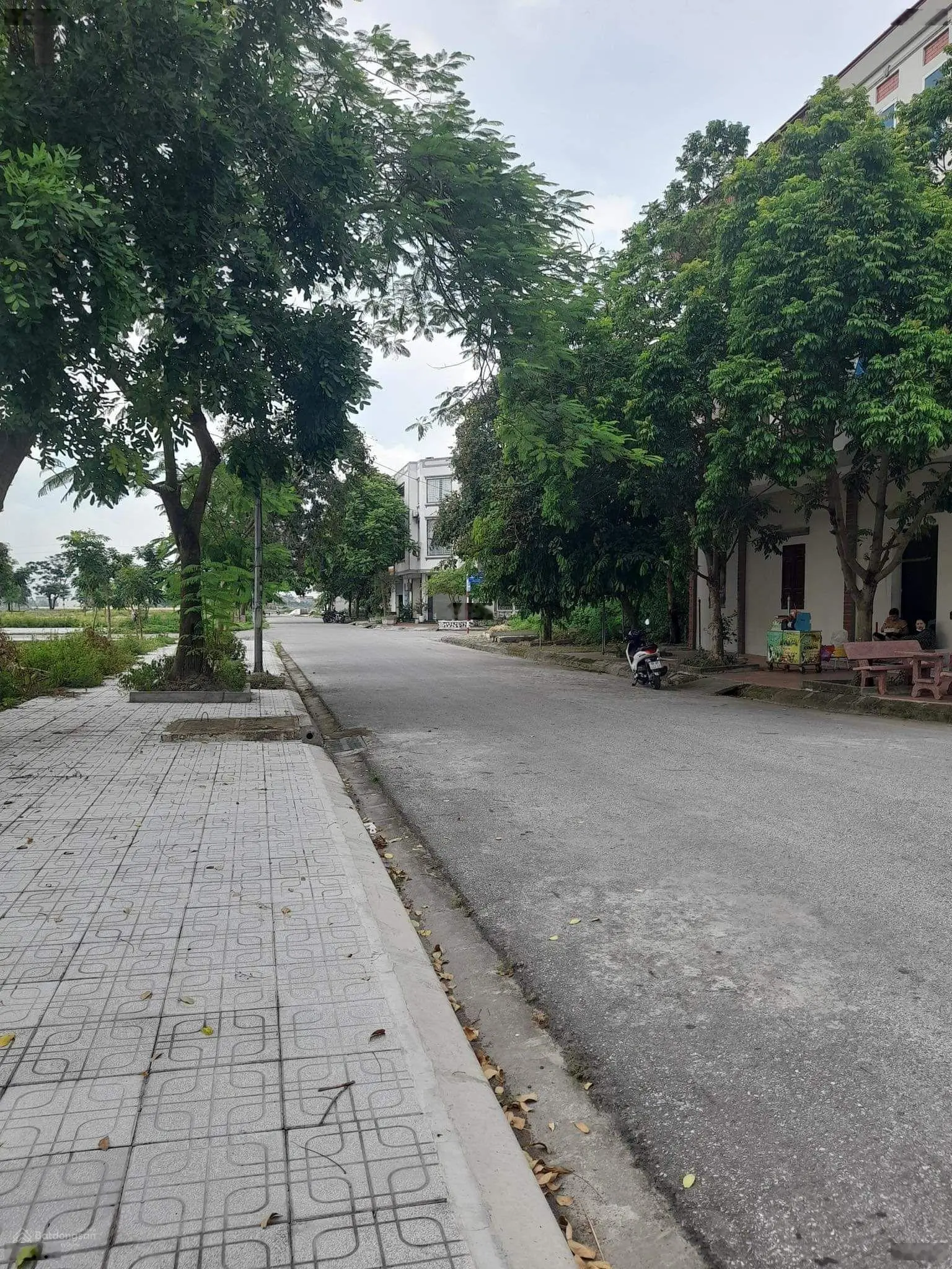 Bán Đất Giá Rẻ thị Trấn Gia Bình tỉnh Bắc Ninh 99m2