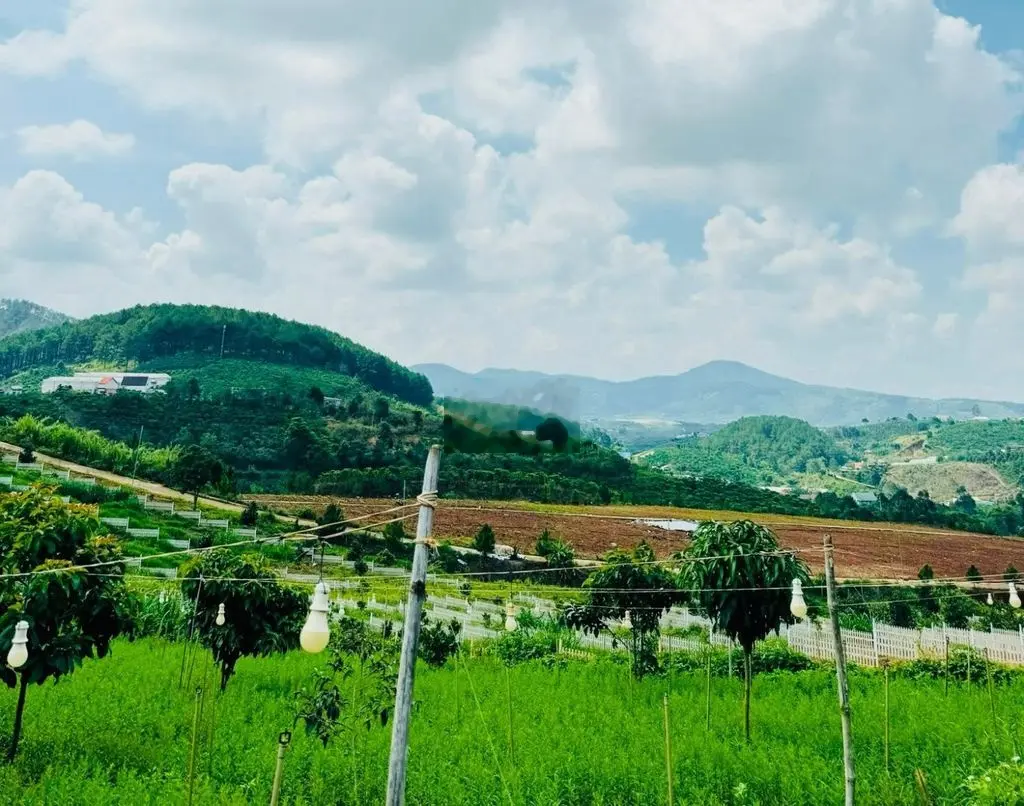 500 triệu sở hữu ngay Đất Thổ Cư Sổ Riêng Mặt Tiền Betong TP Đà Lạt 2