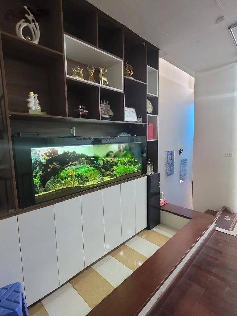Nhà Ngô Xuân Quảng 102m dân xây ô chờ thang máy ô tô vào nhà, giá 11 tỷ cách cầu Vĩnh Tuy 5P lái xe