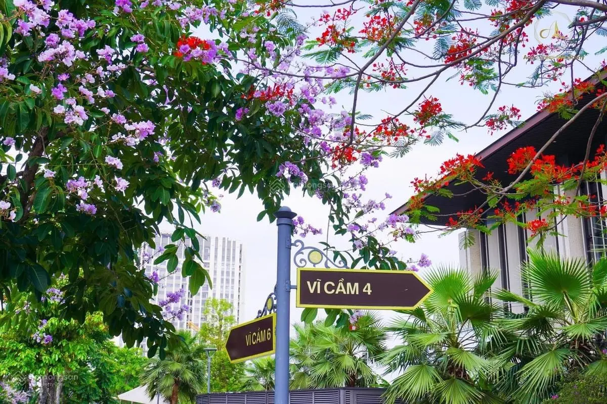 Bán biệt thự đơn lập giá tốt nhất thị trường , đô thị đồng bộ đẳng cấp 279m2 cách mỹ đình 3km