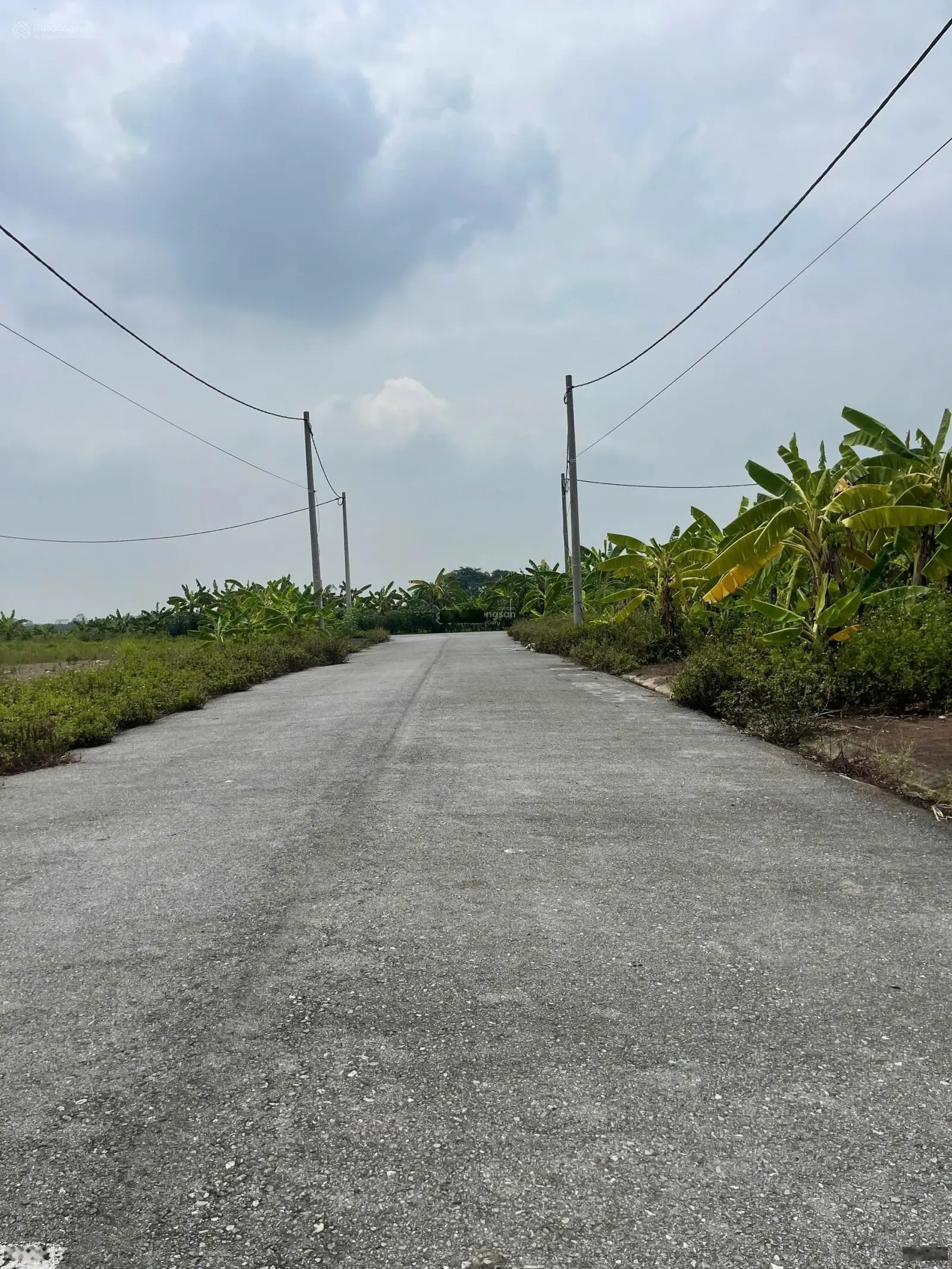 Cần bán 87m2 đấu giá Phan Sào Nam, nhìn sang chợ Ba Đông. giá chỉ 1,25 tỷ rẻ nhất khu, đường 15m