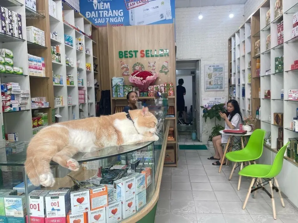 7 tầng thang máy - mặt phố Bà Triệu - thông sàn kinh doanh - hàng siêu hiếm
