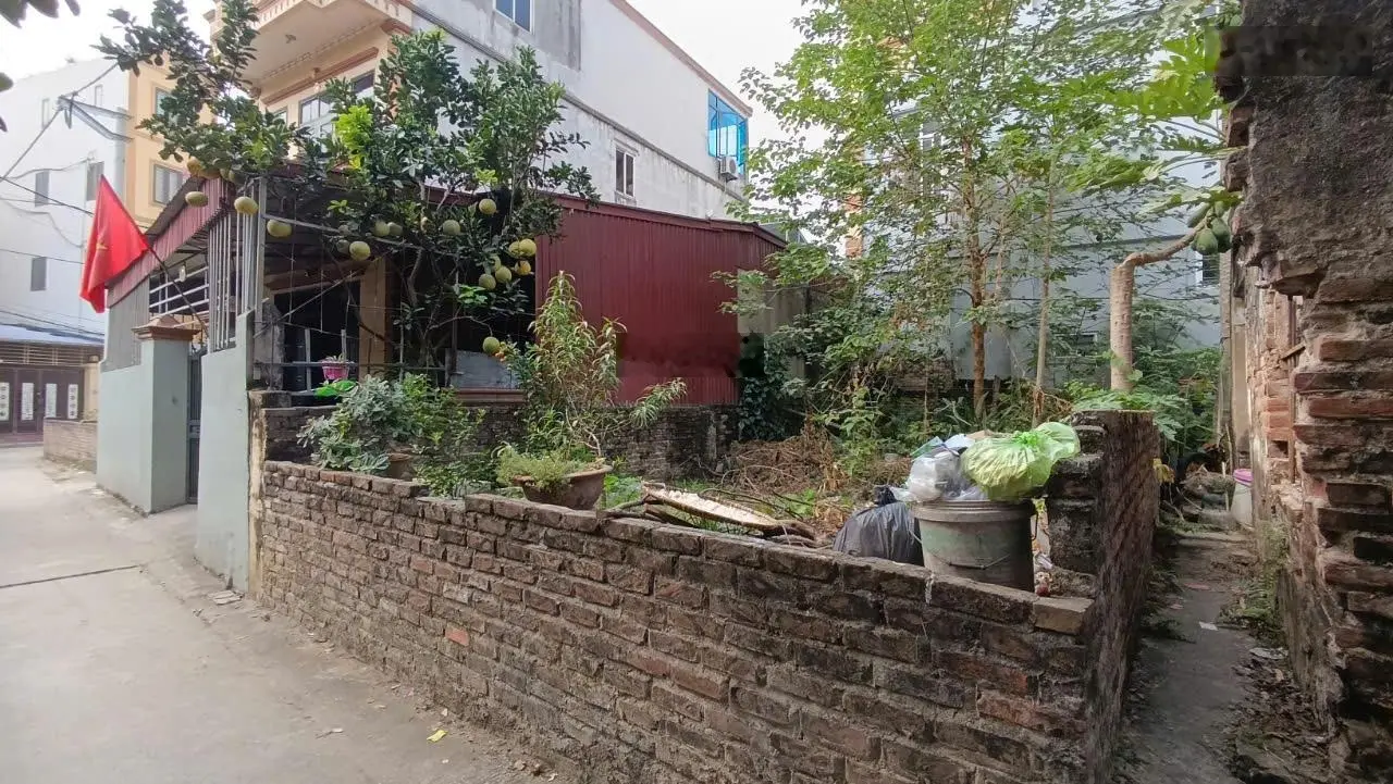 Bán 60m2 đất Lại Đà, Đông Hội, mặt tiền 5.36m, ngõ ô tô.