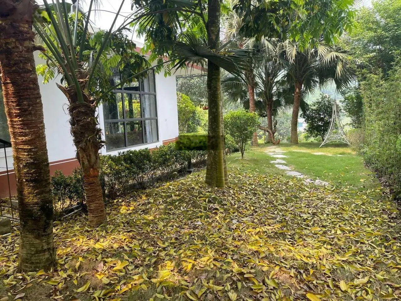Chủ cần tiền cắt lỗ căn hơn 400m2 full nội thất đẹp nhất Lương Sơn giá rẻ ngã cây cắt lỗ trong tuần